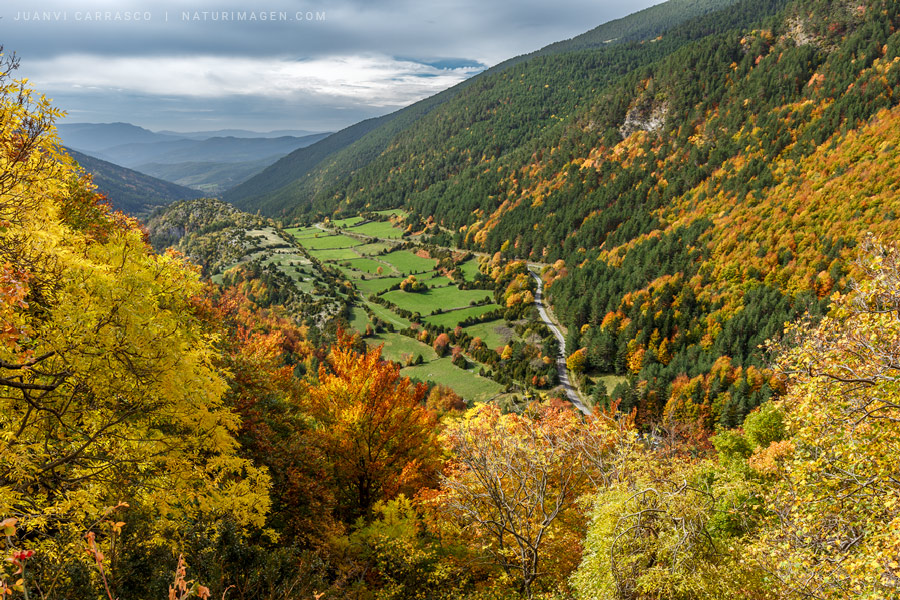Valle de Aisa en otoño a contraluz, Parque natural de los Valles occidentales, Pirineo aragonés, España