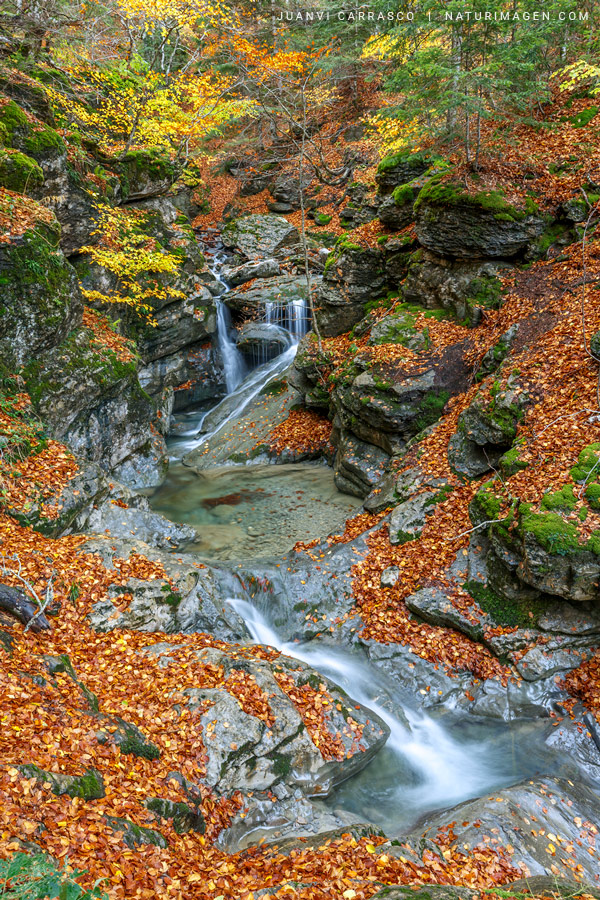 Waterfall in autumn at Gamueta ravine, Anso valley, Valles occidentales natural park, pyrenees, Spain