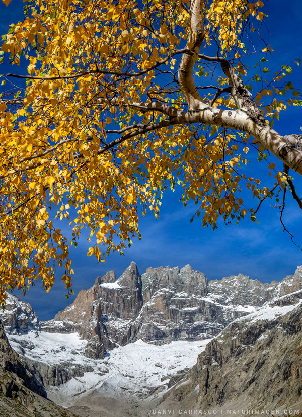 Valle de Etançons y La Meije, Parque nacional de Ecrins, Alpes, Francia