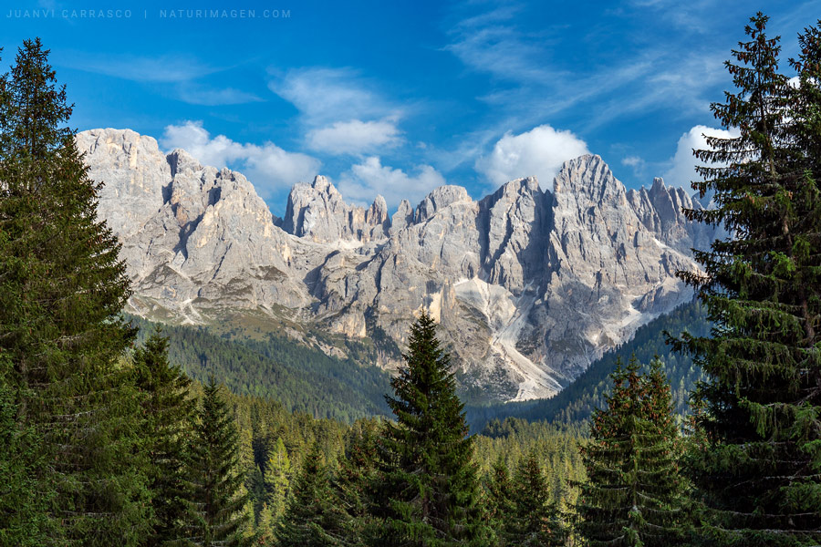 Paneveggio Pale di San Martino natural park, Alto Adige, Dolomites, italian alps