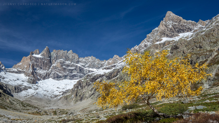 Valle de Etançons y pico La Meije en otoño, Parque nacional de Ecrins, Alpes, Francia