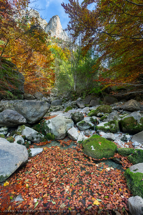 Valle de Hecho en otoño, Parque natural de los Valles occidentales, Pirineo aragonés, España