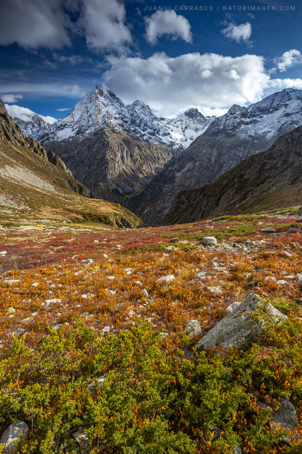 Vénéon valley and Grande aiguille de Bérarde peak, Ecrins national park, Alps, France